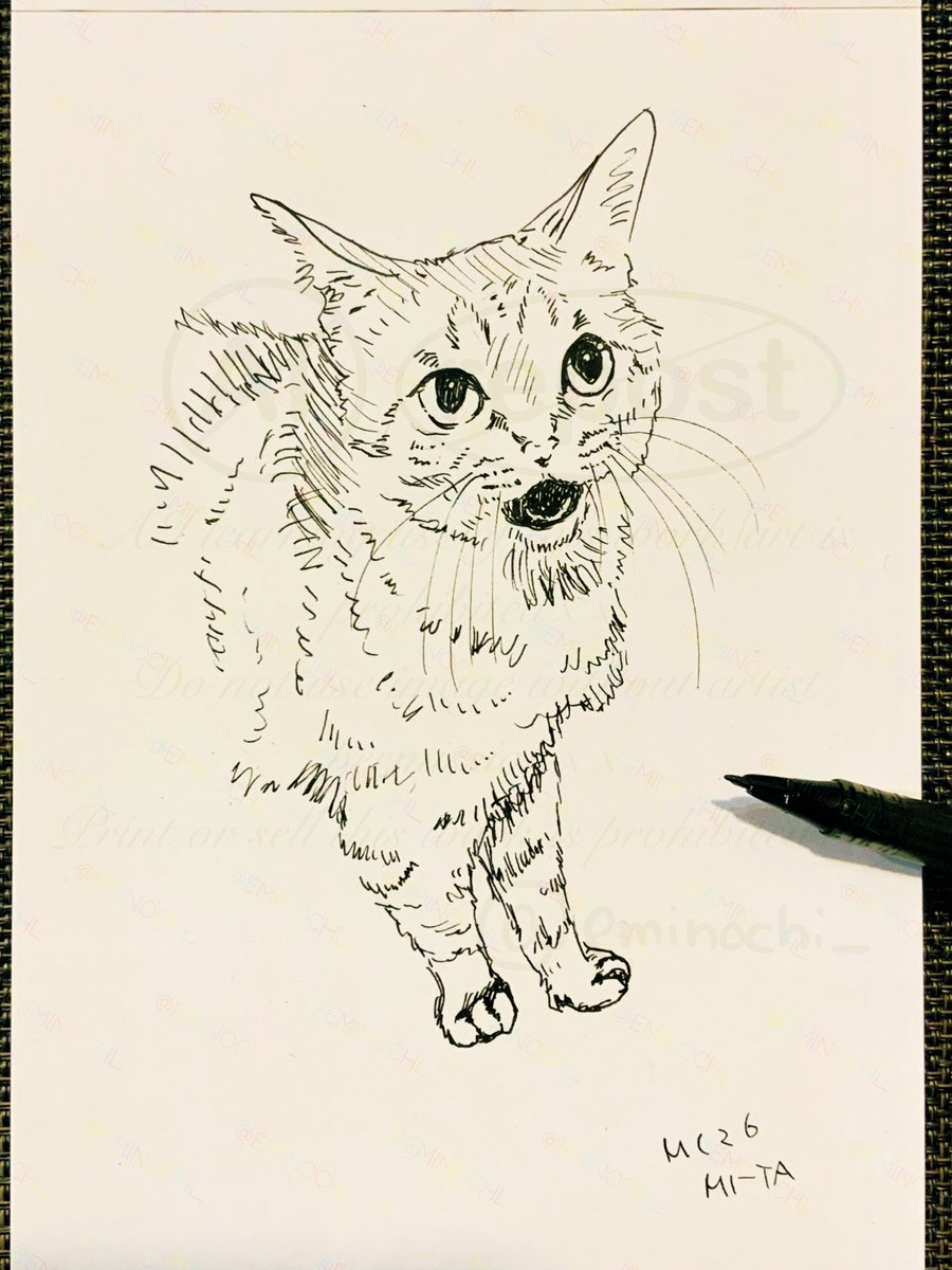 猫スケッチ🐈‍⬛🎨26みーた

なー