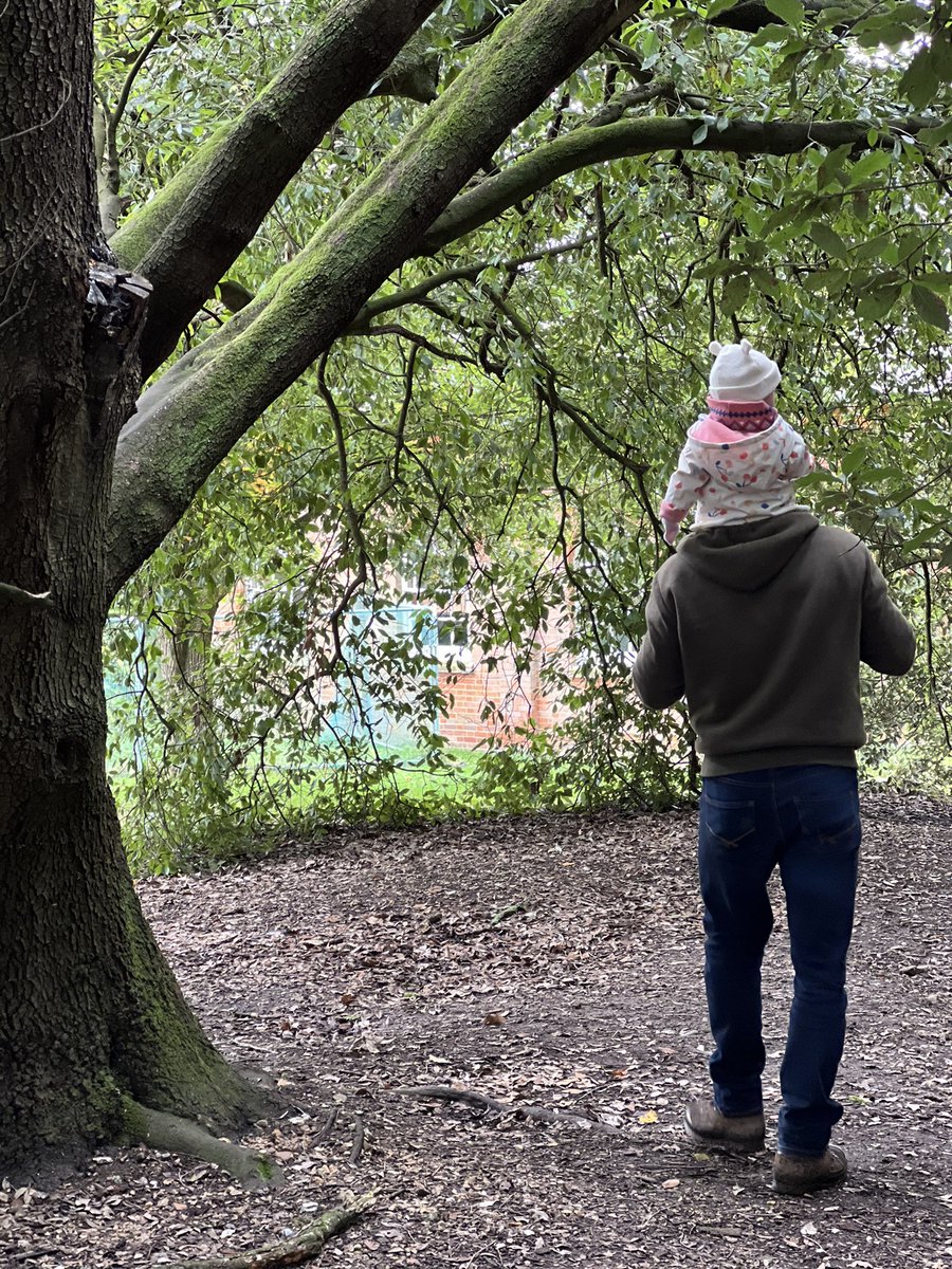 LifewithFND tweet media