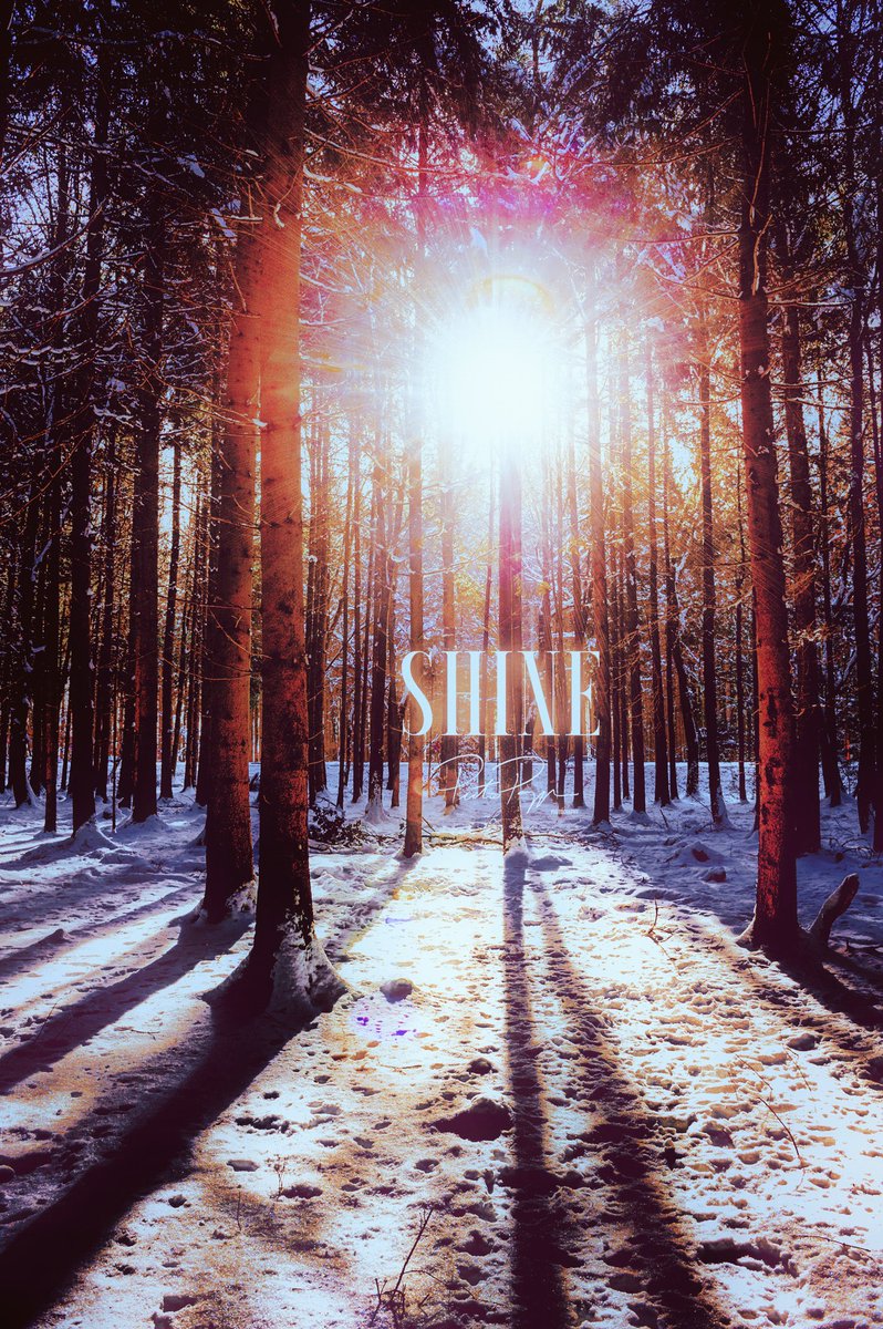 pietropazzi's tweet image. Winter whispers and sunbursts. A frozen forest bathed in golden light reminds us: even in the chill, beauty breaks through. Would you follow the light? 

#FrozenSunburst #NatureArt #WinterReflections #PhotographyLovers #GoldenMoments