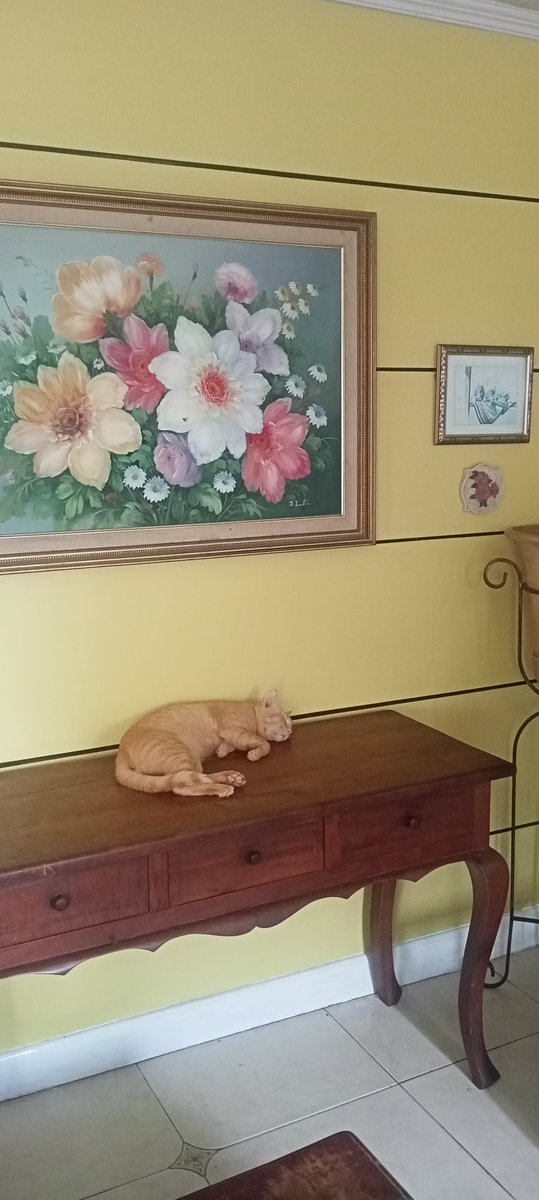 Sleepy Sunday.