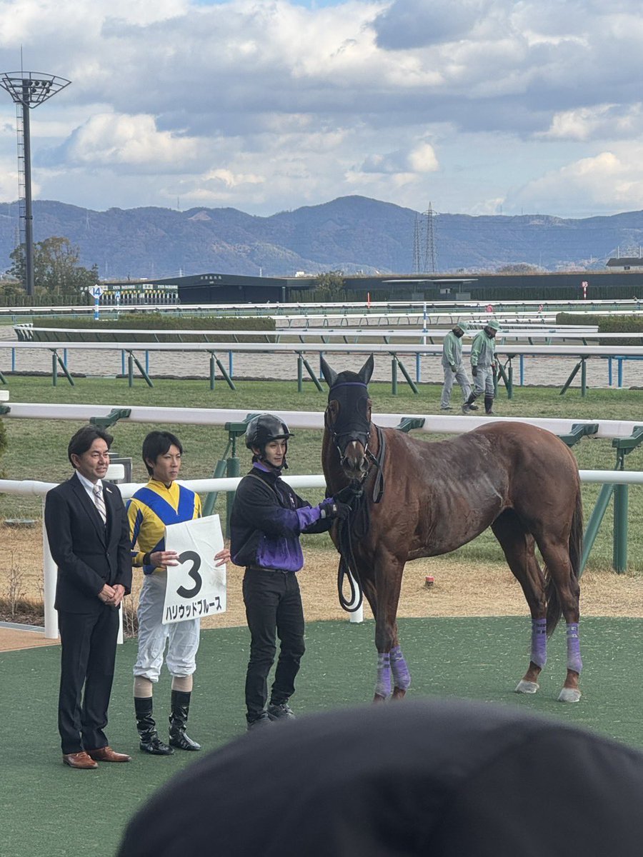 ハリウッドブルース勝ったよ〜
ありがとうブルース😊
関係者の皆様おめでとう御座います㊗️🍾