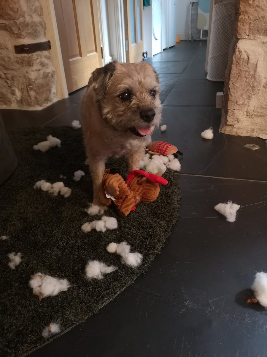 Victoria Graham tweet media