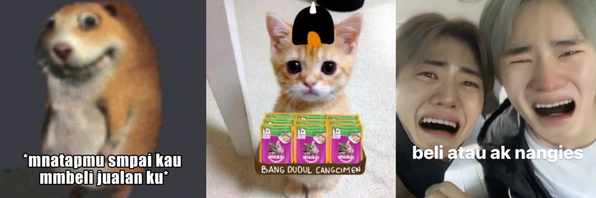 OoyEn 😼 tweet media