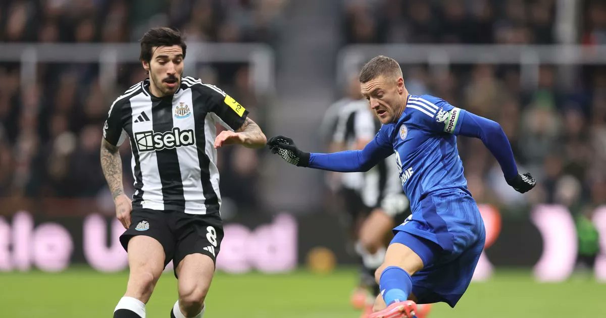 VIDEO Highlights Newcastle 4-0 Leicester City (Premier League) 2024.12.14 All Goals