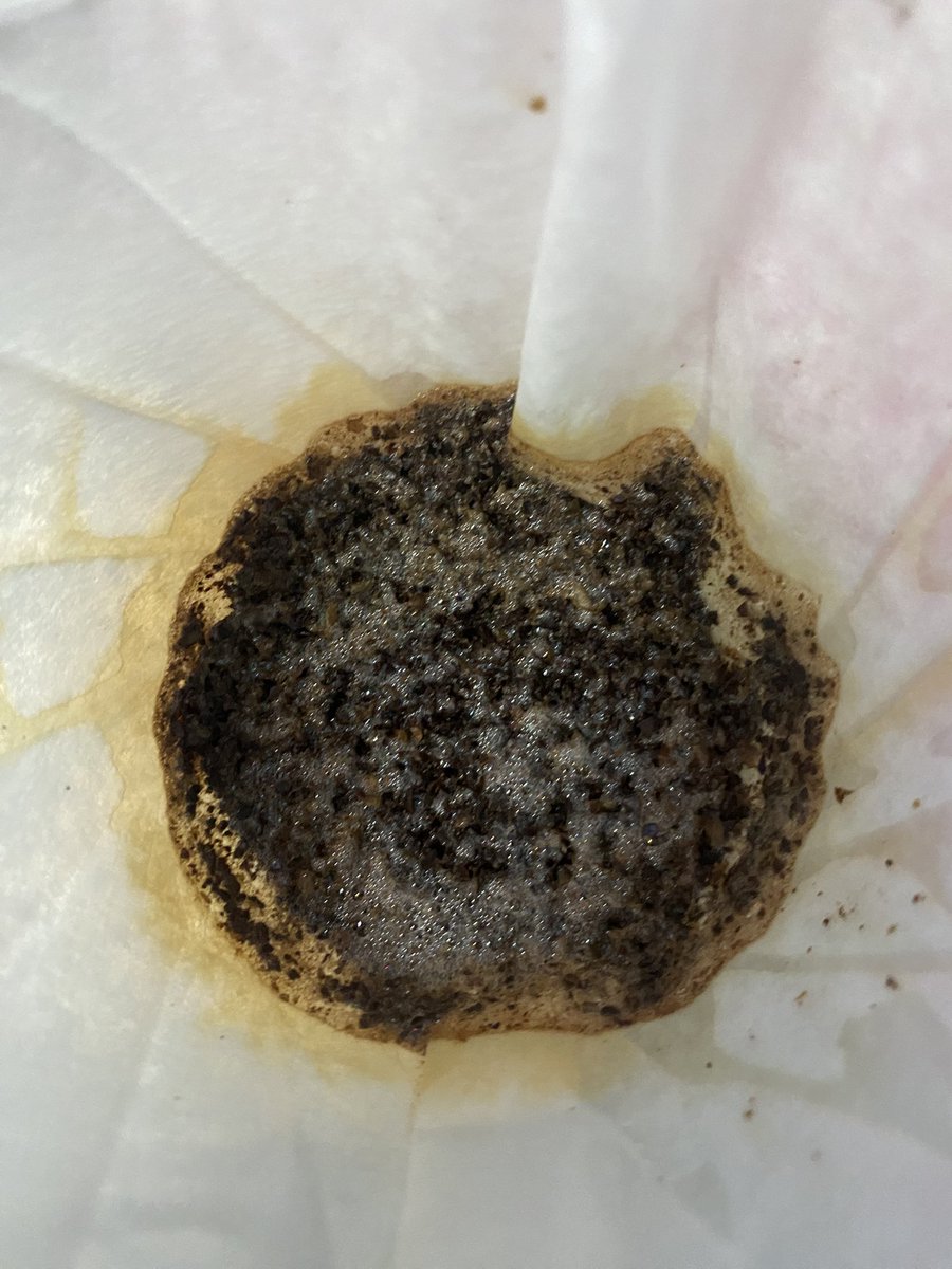 NgocDrukpa's tweet photo. Hôm nay em lôi Fine Robusta của Ritachi dán nhãn #GoDoFa ra thử Pour Over, máy xay tay 12 nấc em để 22 click, nhiệt độ pour 90 độ C.
Ban đầu thì thấy cà phê còn ngậm CO2 khá nhiều, mùi hương hoa không được rõ ràng như khi pha Espresso, nhưng khi nếm thử thì cũng không thua gì Arabica nhập khẩu đâu ạ 👍 9,5đ không có nhưng cho team Ritachi owned by Nosavi của anh @KaldiTai