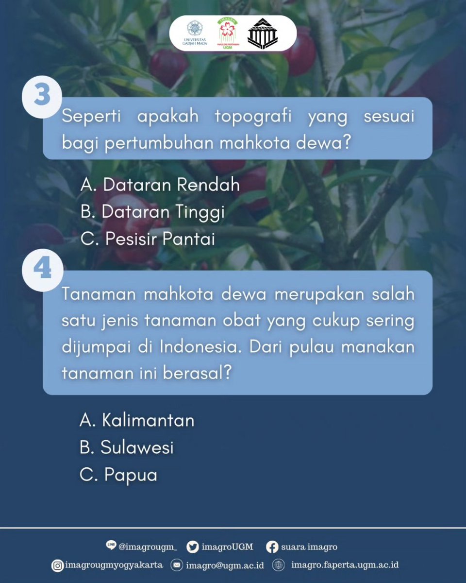 imagrougm tweet media