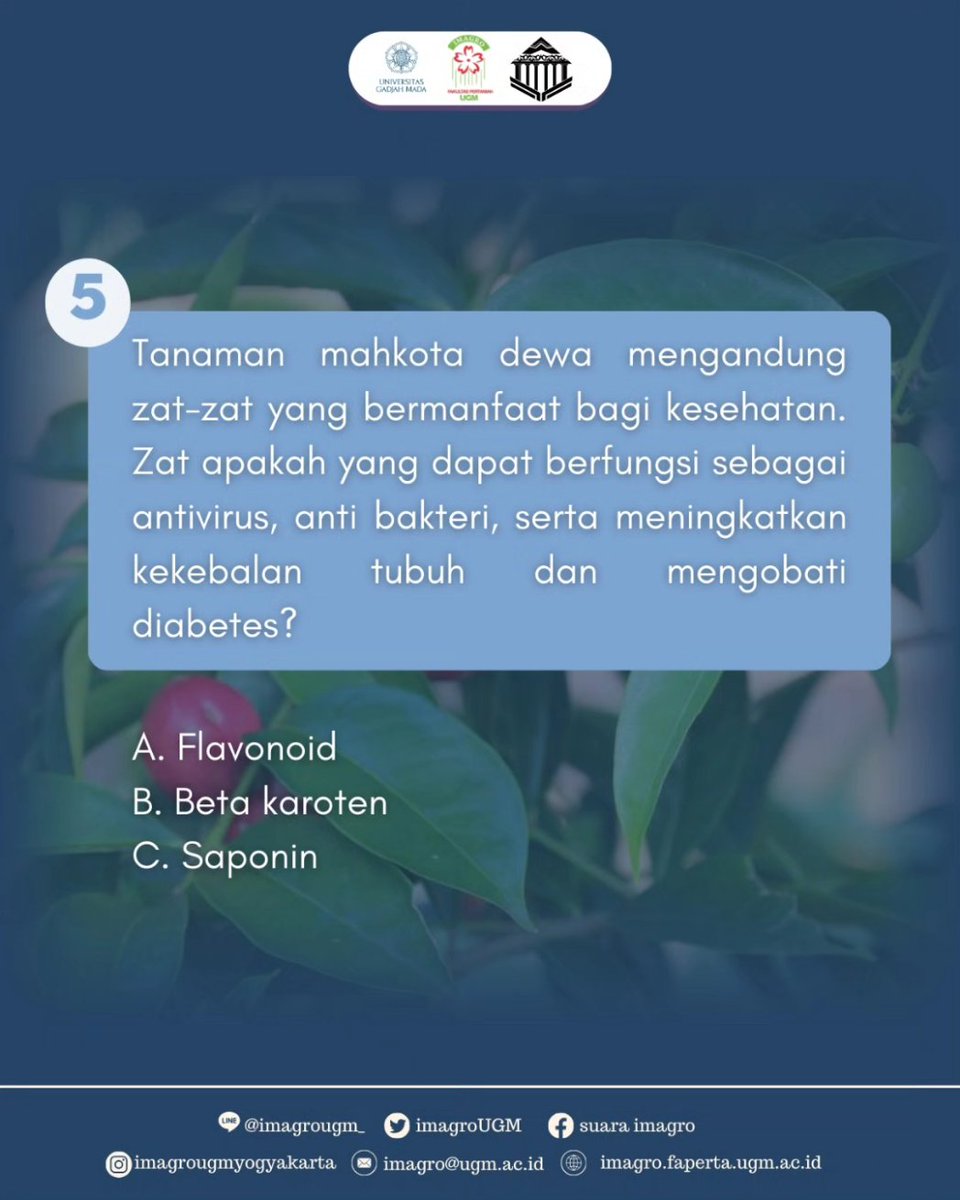 imagrougm tweet media