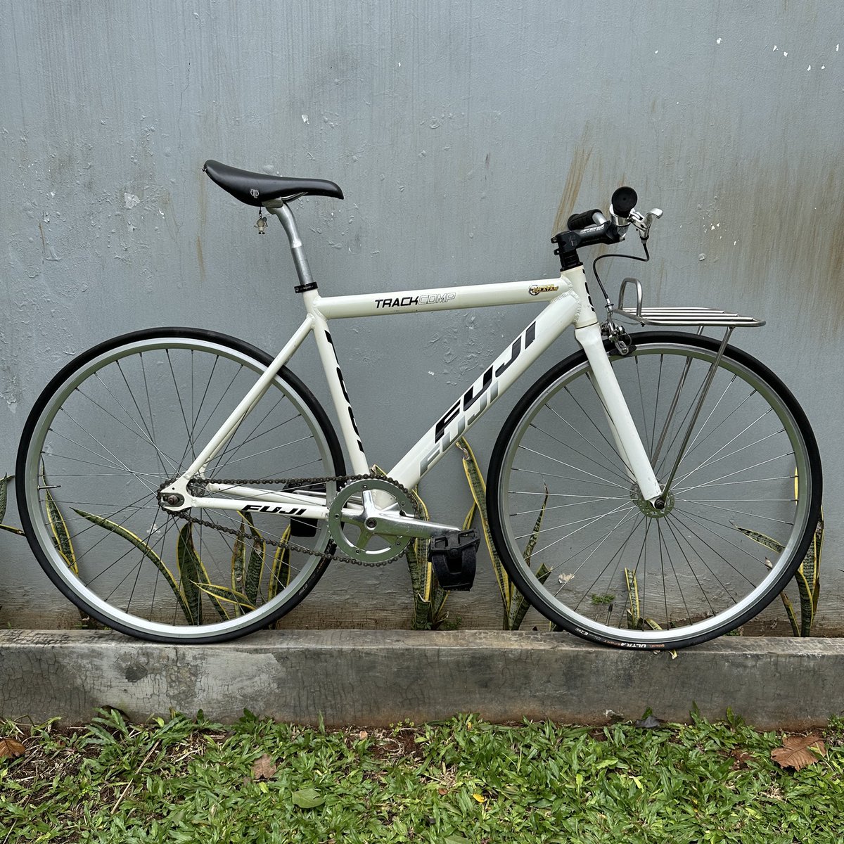 ๐ฆ๐๐ซ๐ฌ๐ ๐ซ๐ข๐๐ฐ๐๐ง tweet media