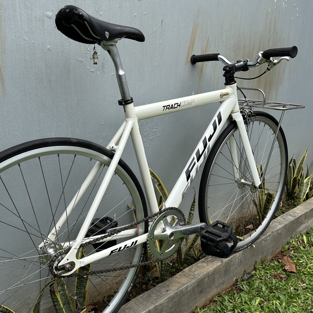 ๐ฆ๐๐ซ๐ฌ๐ ๐ซ๐ข๐๐ฐ๐๐ง tweet media