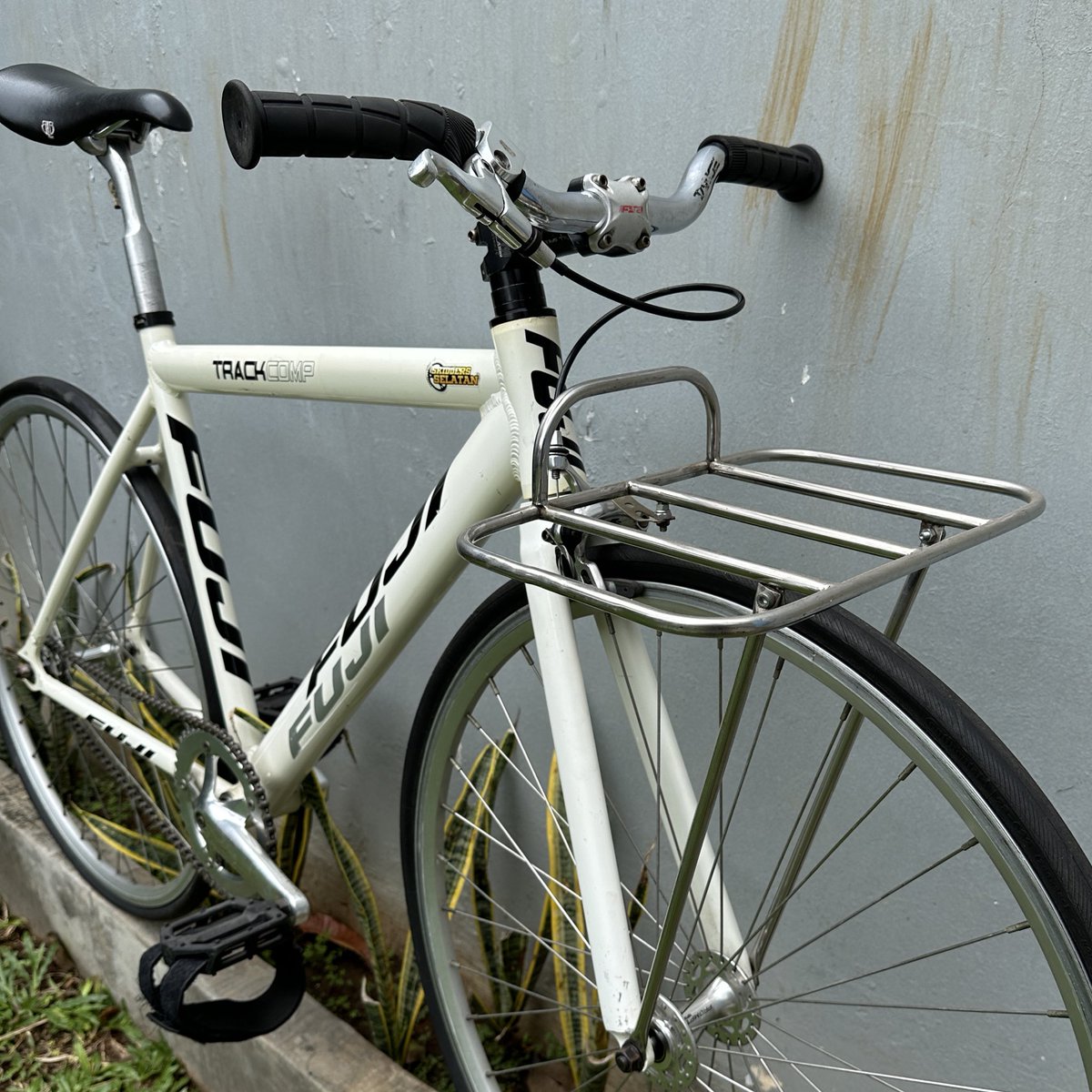 ๐ฆ๐๐ซ๐ฌ๐ ๐ซ๐ข๐๐ฐ๐๐ง tweet media