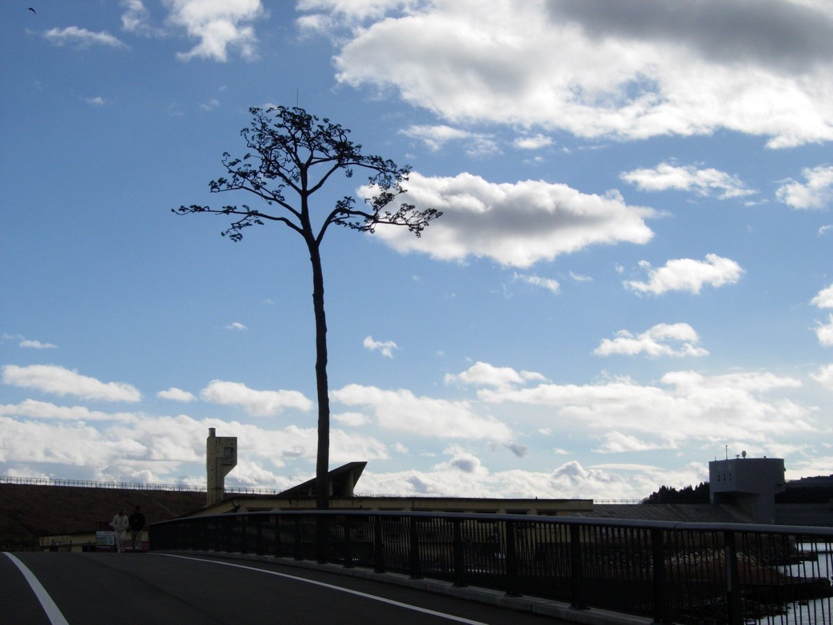 guyubingguo1's tweet photo. AIRで陸前高田に来ていますー！！！
今日の午前は奇跡の一本松見てきました。
景色が凄くて、作品にバシバシ活かせそうです。WS,作品づくり、めいっぱい頑張っていきます！！！
約2週間の滞在です、たのしみ🌞🌞🌞 https://t.co/sGtWQTYiDa