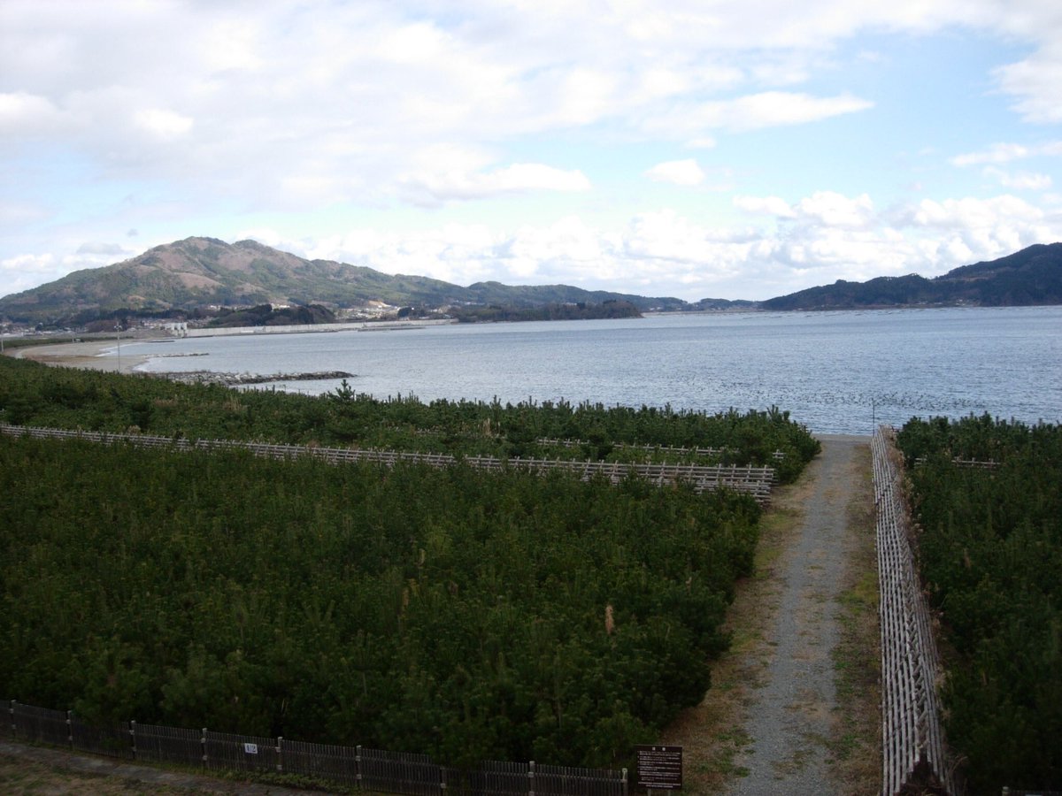 guyubingguo1's tweet photo. AIRで陸前高田に来ていますー！！！
今日の午前は奇跡の一本松見てきました。
景色が凄くて、作品にバシバシ活かせそうです。WS,作品づくり、めいっぱい頑張っていきます！！！
約2週間の滞在です、たのしみ🌞🌞🌞 https://t.co/sGtWQTYiDa