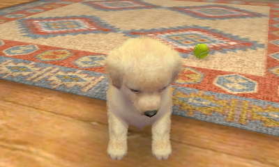 感觉今年真的很幸运，和好多人都成为了朋友或者更好的朋友
感谢大家对我的包容，，