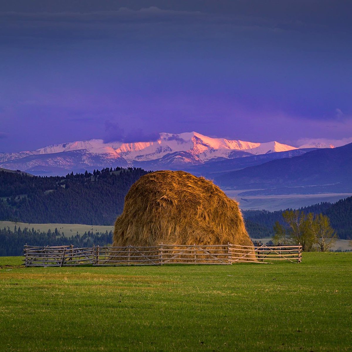 GrrrGraphics 🇺🇸- Ben & Tina Garrison Cartoons tweet media