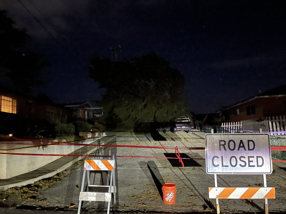 jared_wiegand's tweet photo. @City_of_Seaside any update as to when this tree will be removed and power restored to Havana Street?  All surrounding streets seem to have power restored… https://t.co/P35pYxtD3b