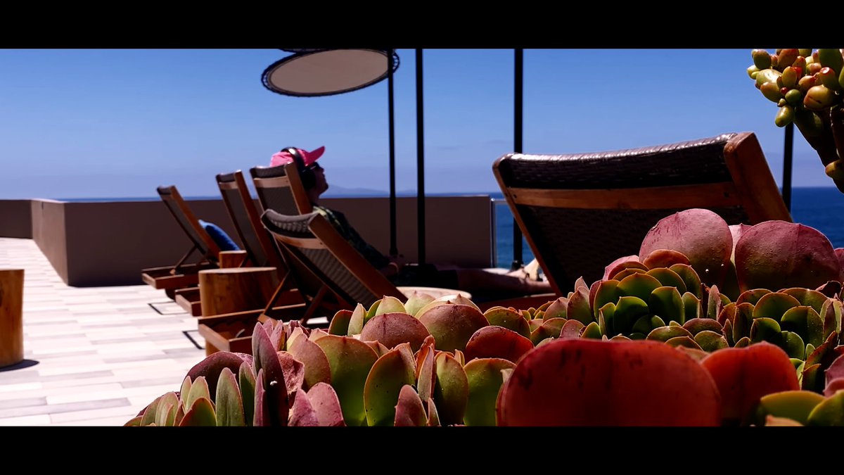 DonieldeSan's tweet photo. My new short film “Paraíso” is on now YouTube, give it a watch 😁
Link below ⬇️ 
https://t.co/X8Vo7tU8jK https://t.co/En6WYfmY0I