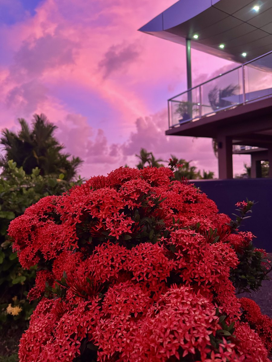 Summer evenings 💯