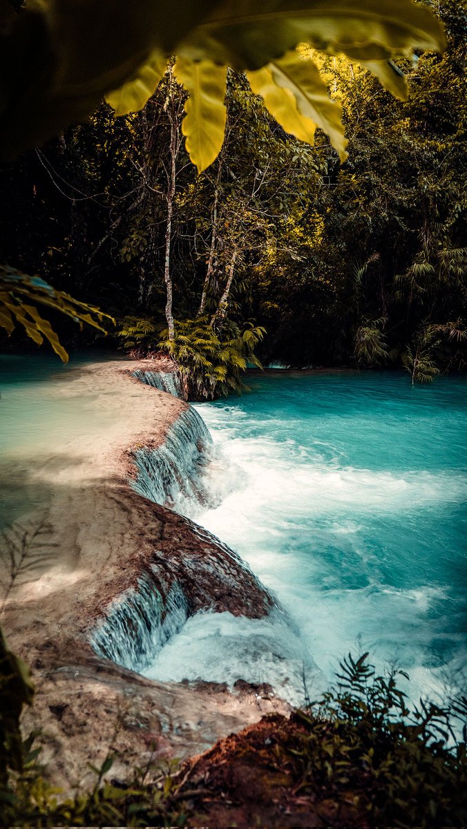 Happy morning! 

May your day be as bright and joyful as your spirit. Stay positive and make it amazing!