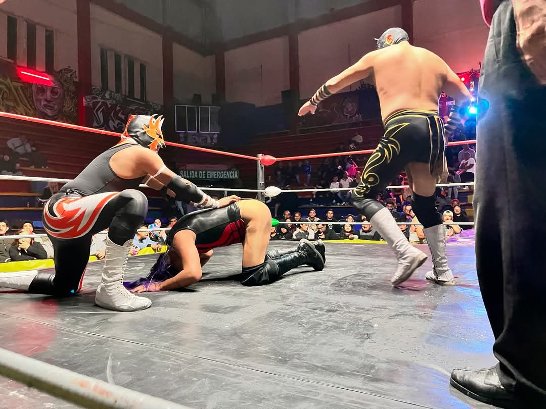 LaTijeraLucha's tweet photo. Ritmo y sabor en la majestuosa #ArenaNeza❗️
Gran tercia la de #Bizhota, #LobitoIII y #Majestic quienes lucen y convence a la afición para dar cuenta de #MedievalI, #BelicoI y #ShamanJr, siendo premiados con dinero los seis elementos por su trabajo... https://t.co/qajDEj0NV4