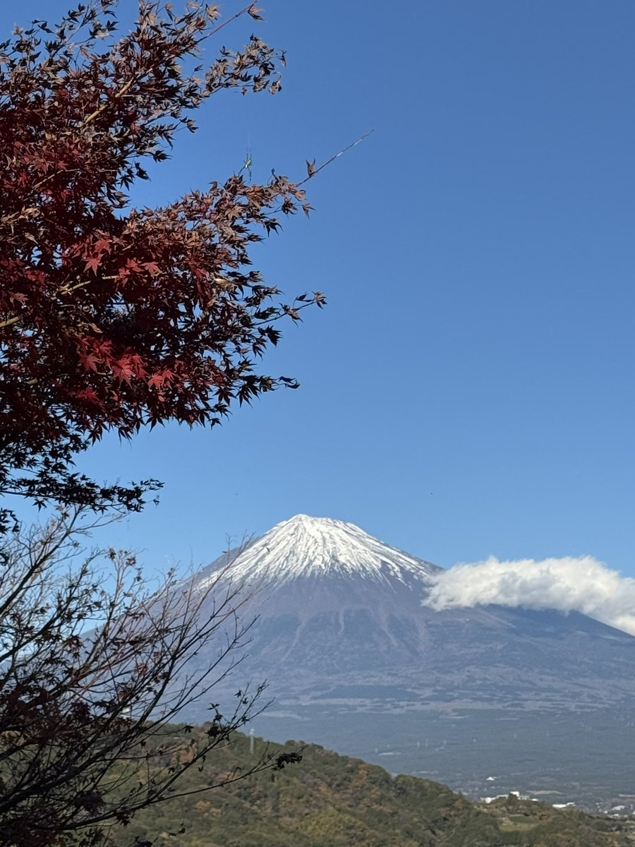 富士川サービスエリア下りのスターバックス付近から