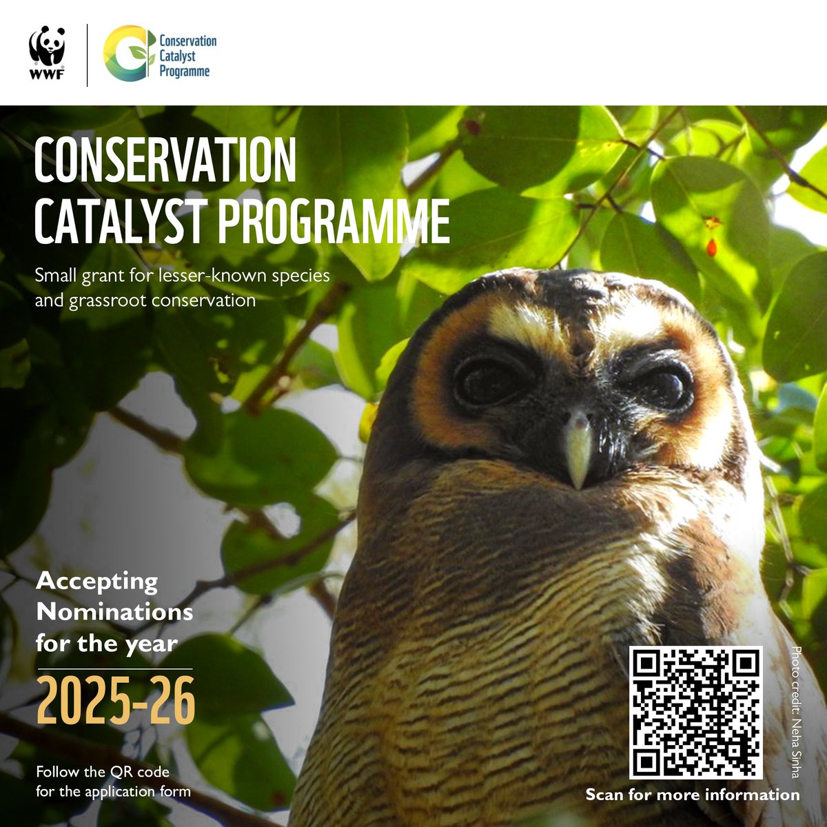 WWF-India is pleased to announce its Conservation Catalyst Programme (CCP) for 2025-26. CCP is a small grant that supports grassroot conservationists and organisations to conserve lesser-known #wildlife and habitat. 

#ConservationCatalystProgramme #WWFIndia