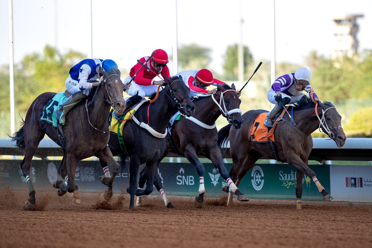 اللهم لك الحمد ماتوفيقي الى بالله انتصار مساء يوم الجمعه🥇🙏🏻

الفرس : قابوسيه🤍💙🥇
<a href="/JCSA_Racing/">JCSA</a> <a href="/FrusiyaClub/">نادي سباقات الخيل</a>