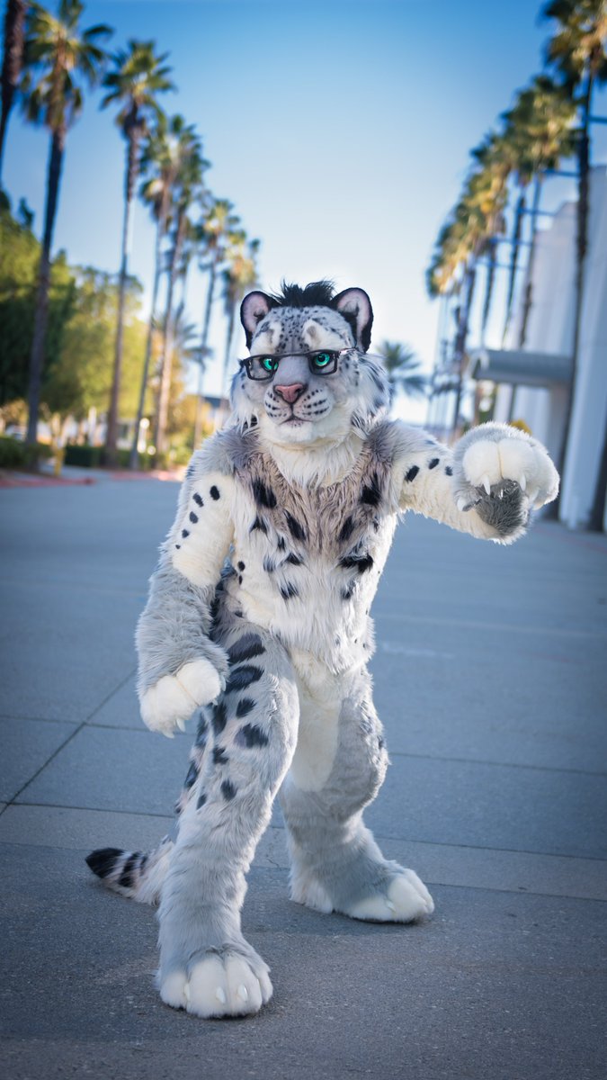 Fateclaw (@fateclaw) on Twitter photo I've officially moved to the Bay Area, trading the gray and gloomy skies of the PNW for the sun and palm trees of California! Sad to be leaving my friends in Portland - but definitely excited to meet new ones in the Bay!
#FursuitFriday
πͺ‘: <a href="/Beetlefursuits/">Beetlecat.bsky.social</a>
πΈ: <a href="/Catamountphotos/">@Catamountain</a> I've officially moved to the Bay Area, trading the gray and gloomy skies of the PNW for the sun and palm trees of California! Sad to be leaving my friends in Portland - but definitely excited to meet new ones in the Bay!
#FursuitFriday
πͺ‘: <a href="/Beetlefursuits/">Beetlecat.bsky.social</a>
πΈ: <a href="/Catamountphotos/">@Catamountain</a>