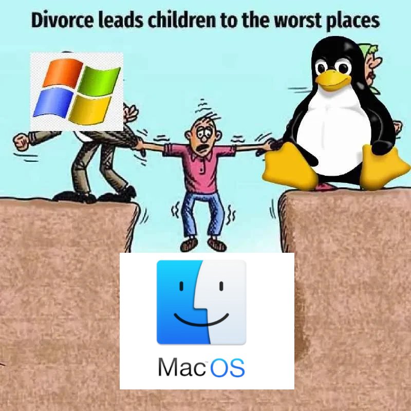 peachey 𔐓 (@peach2k2) on Twitter photo 