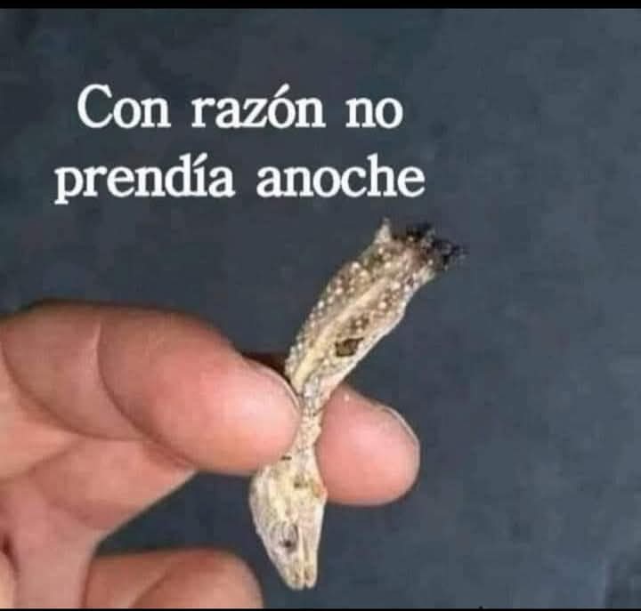con razón no tiraba nada