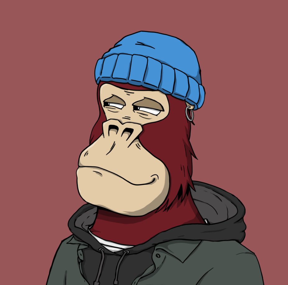 rooboyNFT's tweet photo. I loved the @ChilledKongs when they minted, I loved them at 3,000 ADA and I still love them now… #ChilledKongs https://t.co/jTbeRg715u