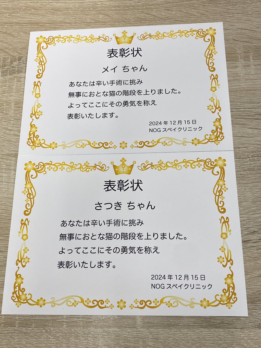 飼い猫さんには表彰状を！

さつきとメイちゃん