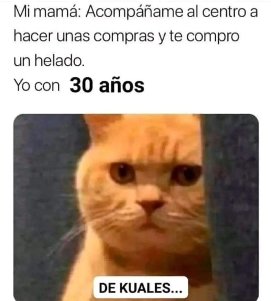 EnsedeCiencia's tweet photo. https://t.co/fhtfGfqUVQ
