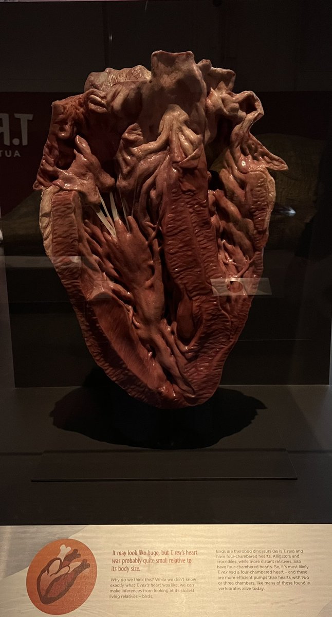 His heart was two sizes too small