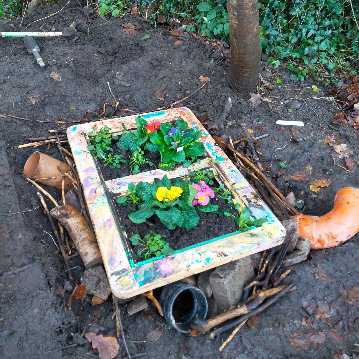 A huge thank you to the children and staff from St. Dunstan's Catholic Primary School who helped us build a brand-new hibernaculum for our smooth newts!

This below-ground shelter will help smooth newts to hibernate over the winter in our Birmingham gardens. 🐸