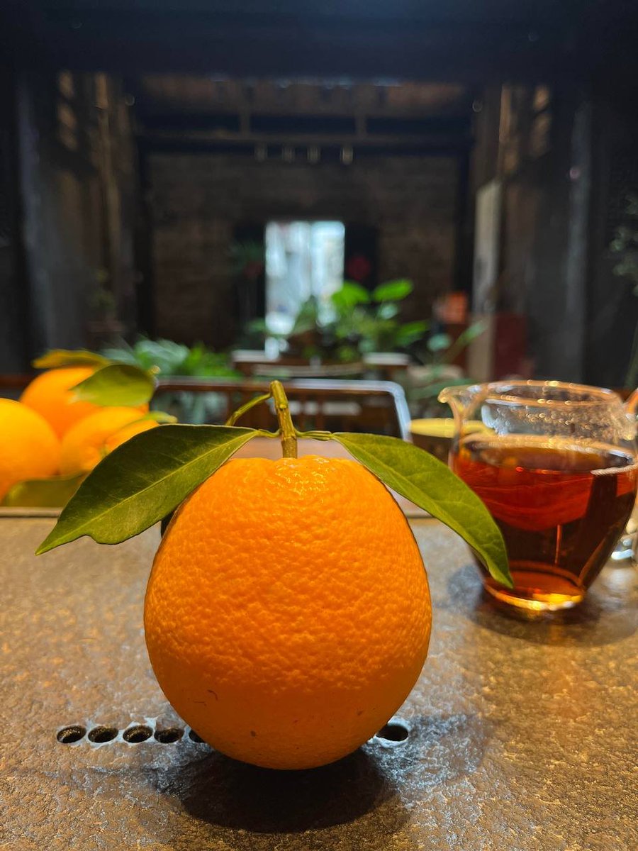 BlitheBernal2's tweet image. I&apos;ll make tea too