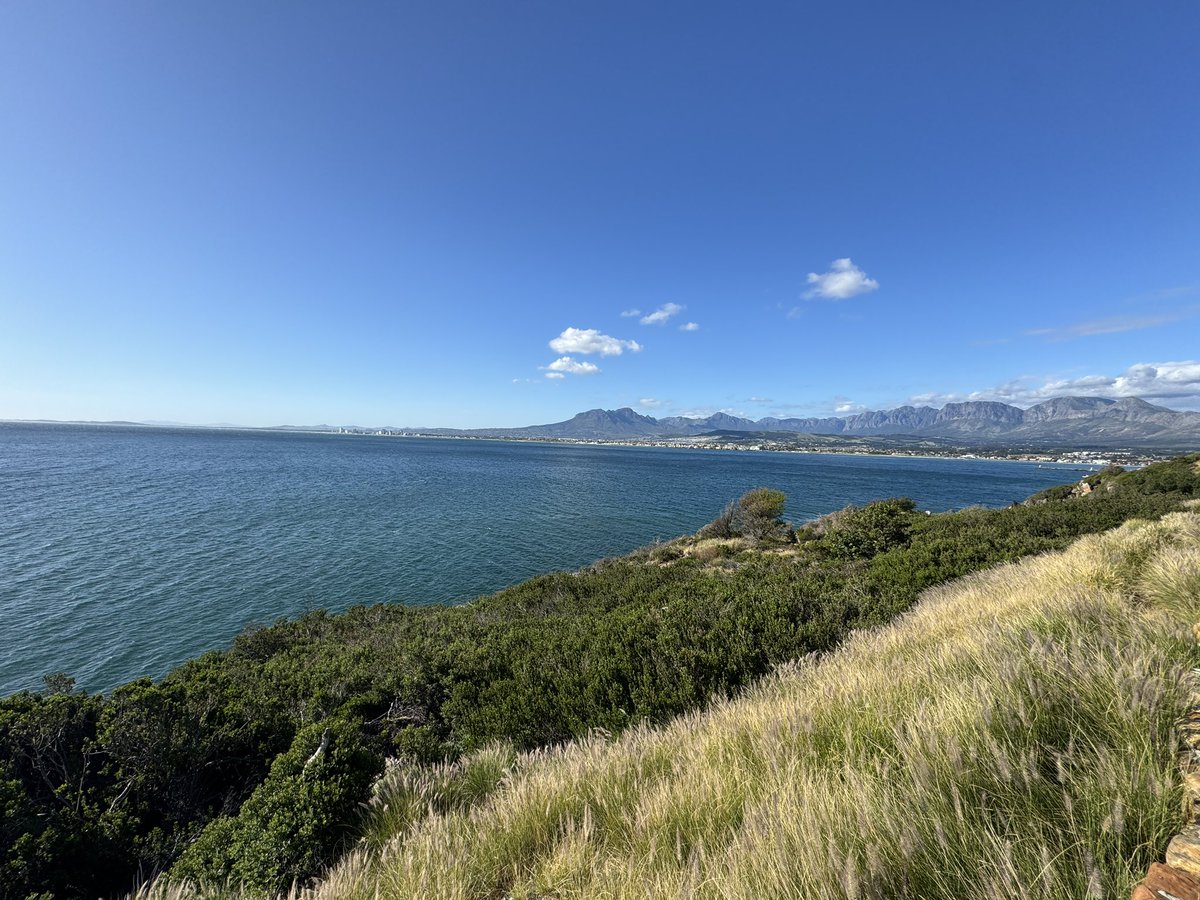 Trivia: is this #plettbay?