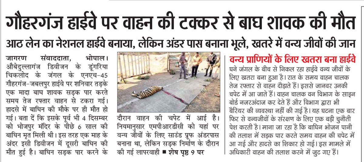 kapiltulsani's tweet photo. बाघ की सुरक्षा को लेकर भोपाल सर्किल के वन विभाग के अधिकारी गंभीर नहीं हैं. सीएम संज्ञान में लें
@CMMadhyaPradesh @DrMohanYadav51 @narendramodi @PMOIndia @ntca_india @Ajaydubey9 @minforestmp @DEFCCOfficial @Raja_bhaiya76 @Anurag_Dwary @anuragamitabh https://t.co/qwoUAzD2iz