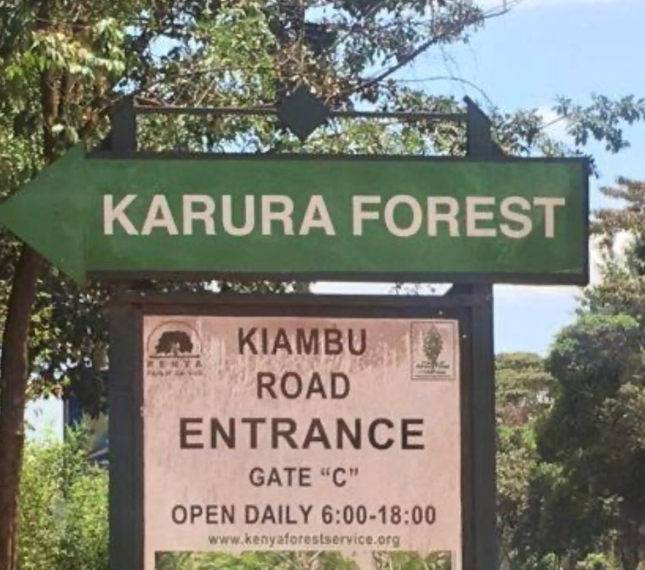 IsaacKalua's tweet photo. Karura Forest is not just trees; it’s Nairobi’s lifeline. Destroying even a portion leads to sedimentation in rivers, reduced water quality, and climate risks. We must act NOW to protect Kenya’s green heritage. #HandsOffKarura #GreenThinkingAction https://t.co/o33As96sHc