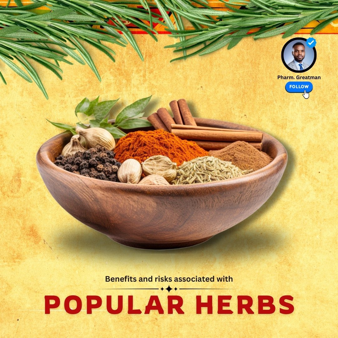 OGreat6's tweet photo. EVERYDAY HERBS: EXTRAORDINARY BENEFITS

There are several herbs that have shown amazing benefits for your health

They can fight germs, boost your heart, and so much more. Let me show you what you should know about them

A thread https://t.co/hYsf8BbDnT