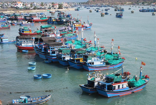 RamlaKhalidi's tweet photo. Marine Spatial Planning and Coastal management can help manage different marine sectors maximizing benefits while minimizing negative impacts on ecosystems https://t.co/eKg84zNnwd