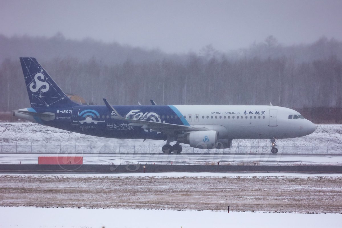 Cygnus201101's tweet image. B-1807
Airbus A320-214
Spring Airlines
 (FairLink Livery)

FR24で千歳に向かってきているのを見つけ曇り空だけど空港に向かったら近づくにつれ雪が…
視程悪く再履修確定です🥺

November 15, 2024

#B1807 #SpringAirlines #CTS #RJCC #新千歳空港