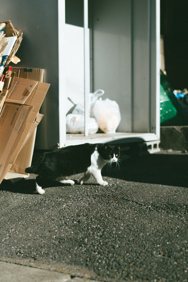 akimoto_0109's tweet image. in the life.