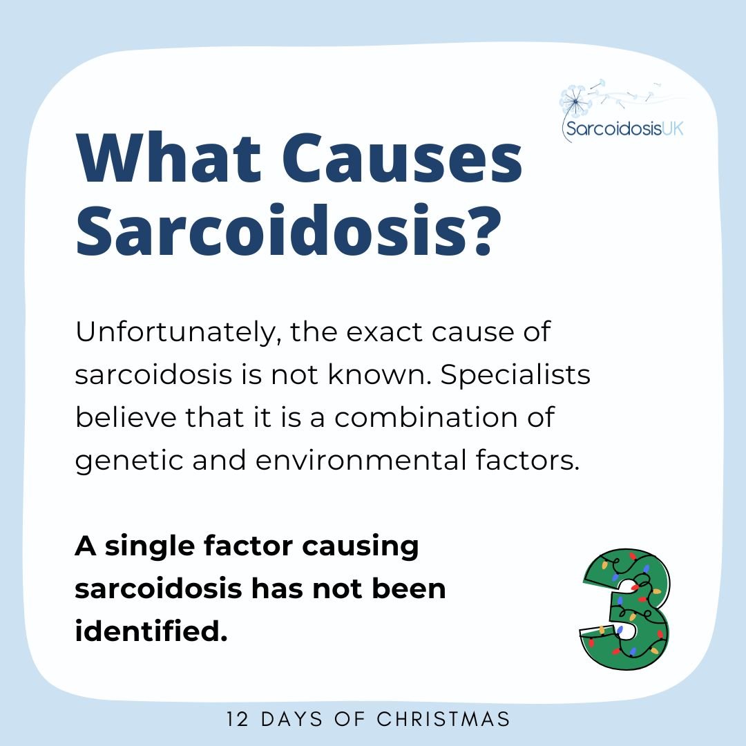 SarcoidosisUK's tweet photo. It's Day 3! 🎄

We're asking you to help spread awareness of sarcoidosis by sharing this post. We believe that increasing awareness is crucial for better understanding and support for those affected by sarcoidosis. 

Thank you for helping us spread the word this festive season ✨ https://t.co/duNd1QcDbu