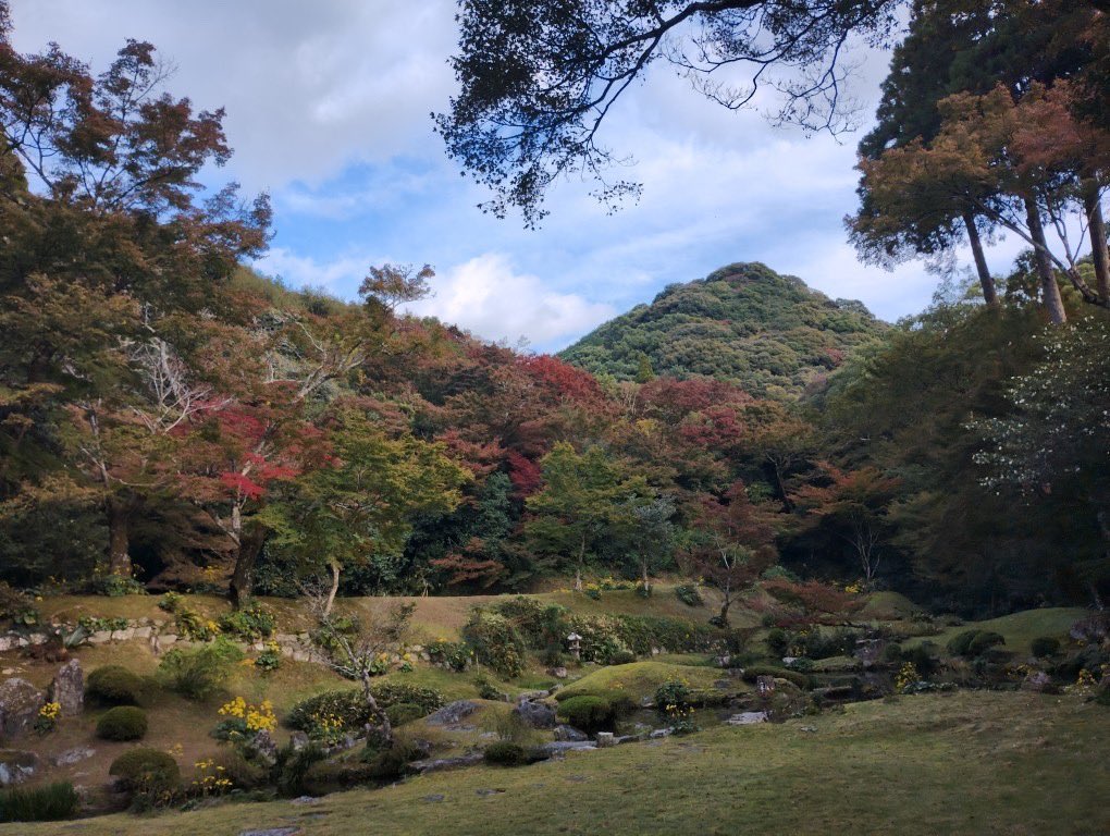 0520MG's tweet photo. 大変ご無沙汰しております🙏皆様お元気でしょうか？投稿は滞っておりましたが会は活発に活動継続中です🤗事後報告で恐縮ですが【第二弾の紅葉ドライブツアー】にも行って参りました！会員の方のみ参加できますのでご興味のある九州の方はDMにてお問い合わせ下さい❤️#患者会 #友の会 #MG #重症筋無力症 https://t.co/tmaMKhBLJ0