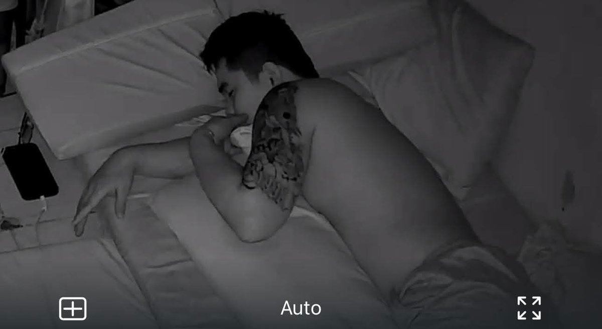 _ManuelCarlo's tweet photo. Hibernate https://t.co/zJsoINby0B