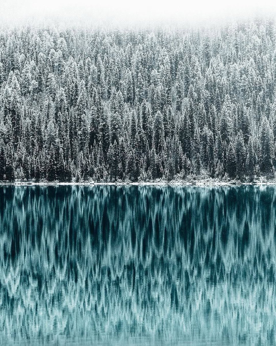 5style's tweet photo. Through the mirror. Stunning winter scenery through the lens of @norrisniman. 

#5STYLE #Canada #Minimalist #Photography #Nature https://t.co/G4s1EEWfOT