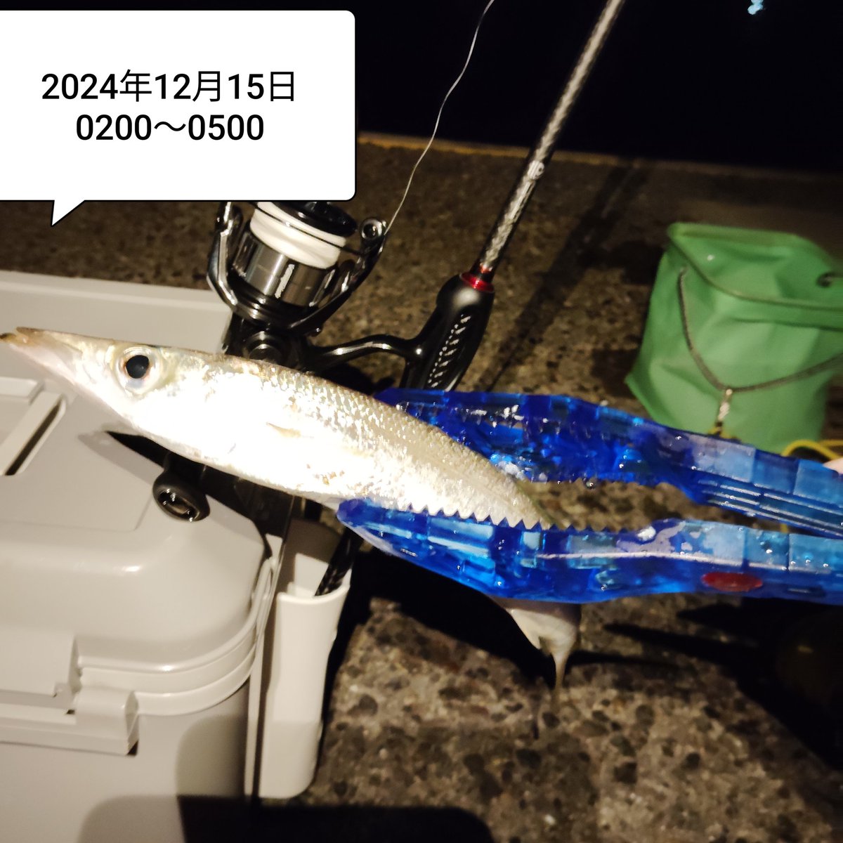 今季初の外房カマス調査🎣
40オーバーの脂のりのりをget
後半戦は毎投ヒットで数釣りを堪能しました🤤
#Olympic
#Thirtyfour