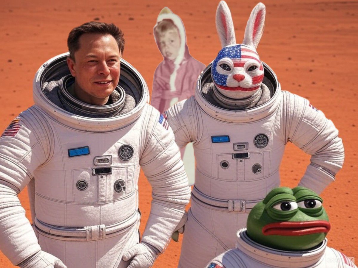 t_carllos's tweet photo. @_FaridKhan @elonmusk @cb_doge #GrokGems https://t.co/VGXOmEPBIz