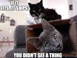 meow2you's tweet photo. Not having much money, Alex found a way to visit his mom, who moved to warmer climates. Shhh!๐ธ๐ฝ๐ป๐ผ
#FreeShippingDay #Caturday
@ThePhilosopurr @GeneralCattis @HarryCatPurrs @LuminousNumino1 @TERRYW_UK @PeterRABBIT67 @briano29 @eliznoelle @EringoB02429272 @lymeist https://t.co/MHZQVjX8iE