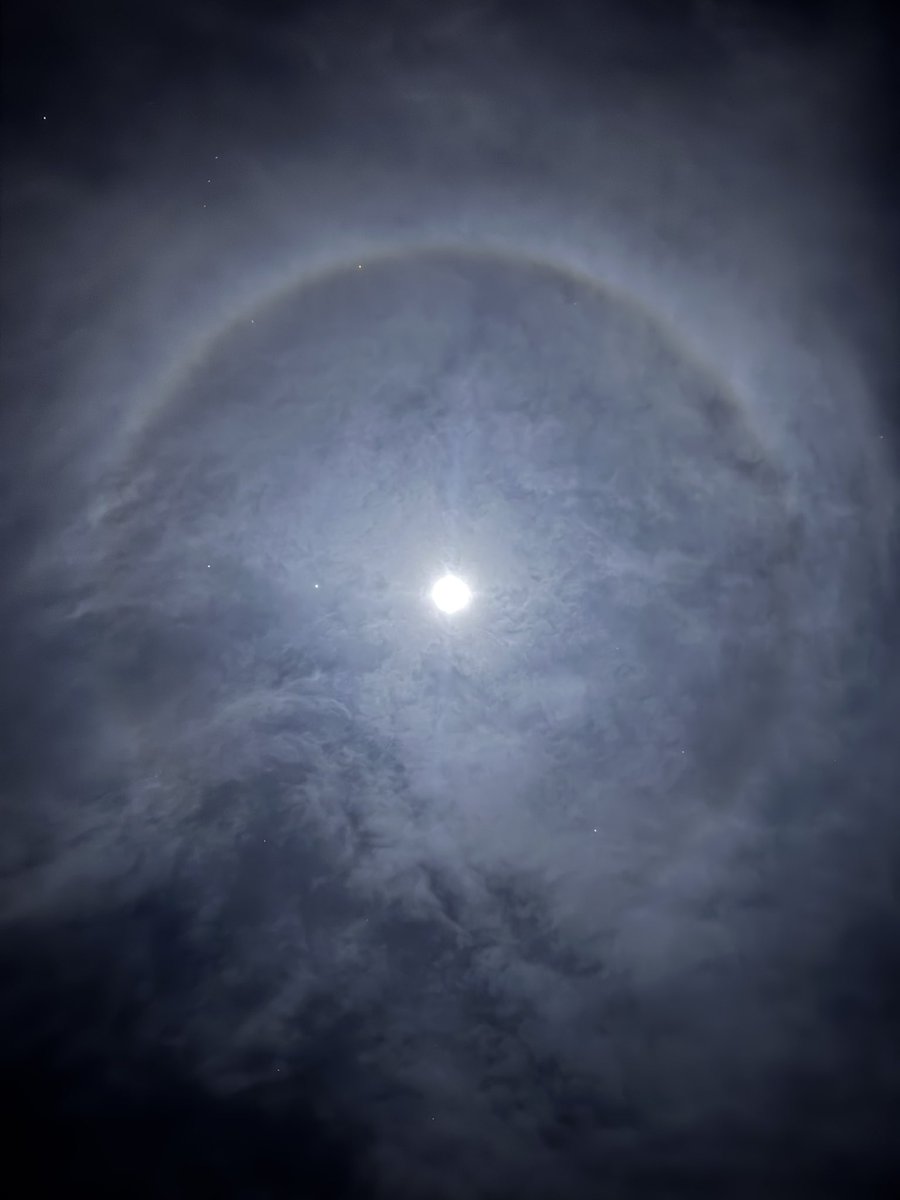 | KORU | tweet media